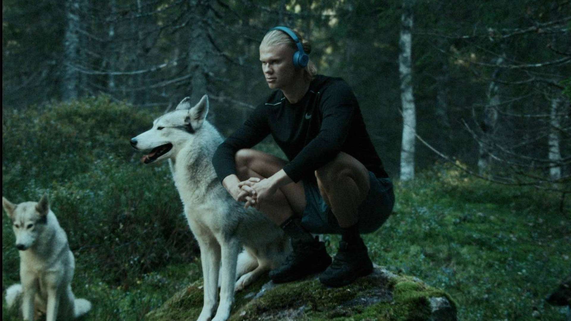 更是一种难 更是一种难